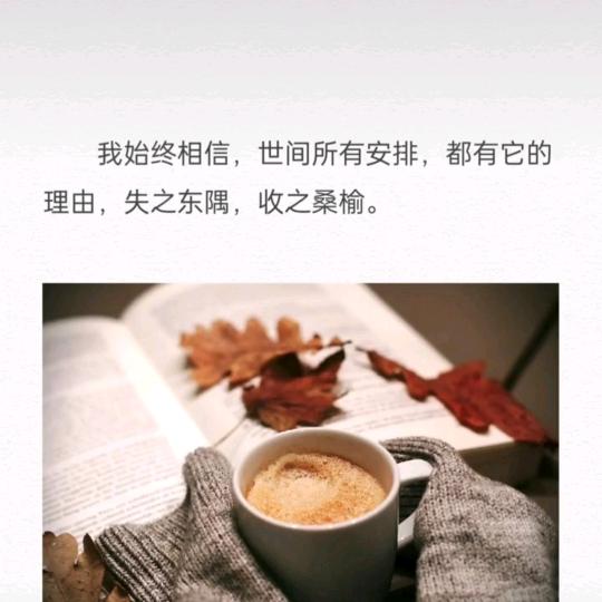 ☀️杨💕💫️