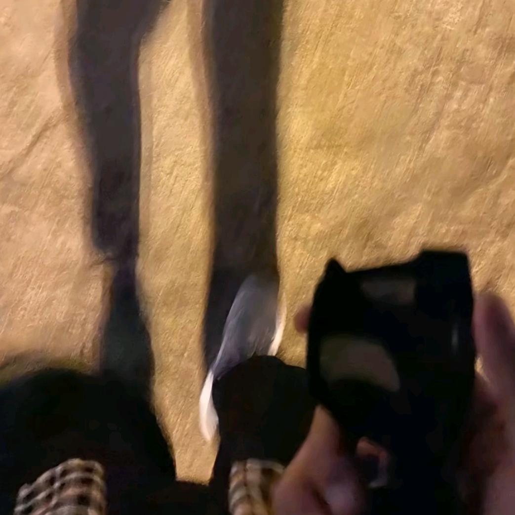 🖤