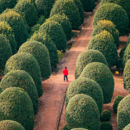 🦋এ᭄心碎ꦿ谁💔买单ོ࿐ᩚ