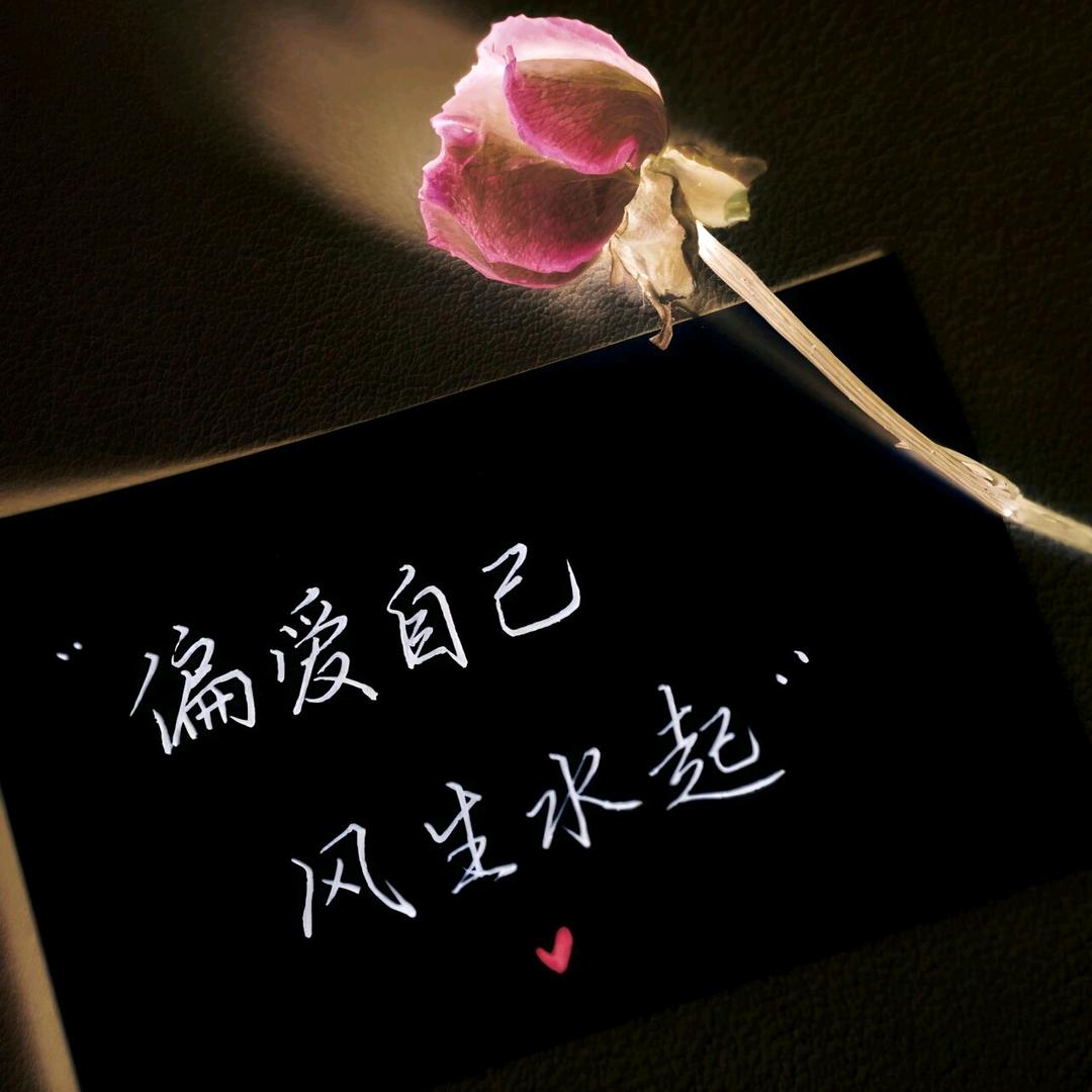 樱花🌸