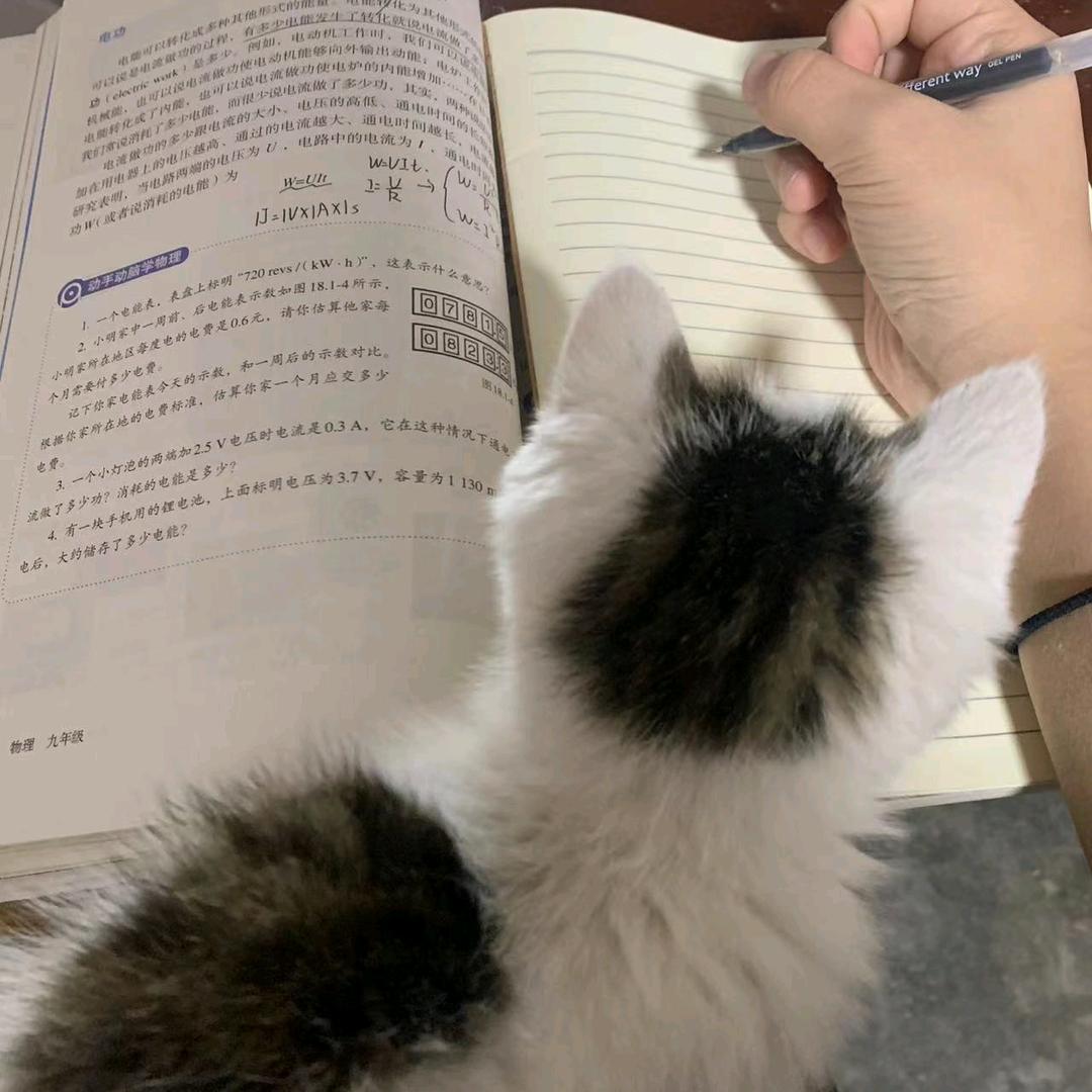 👉❣️冷血动物❣️👈