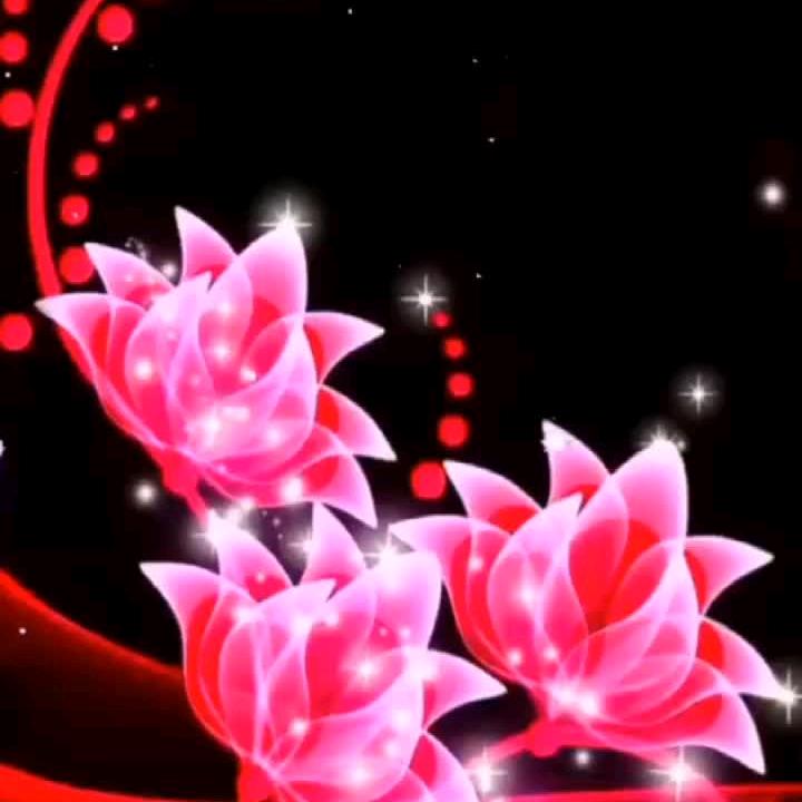 芳馨姐