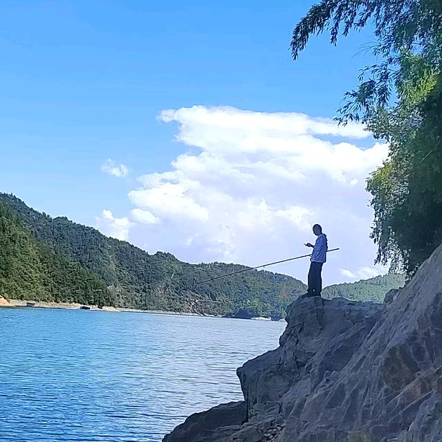 陈哥钓鱼