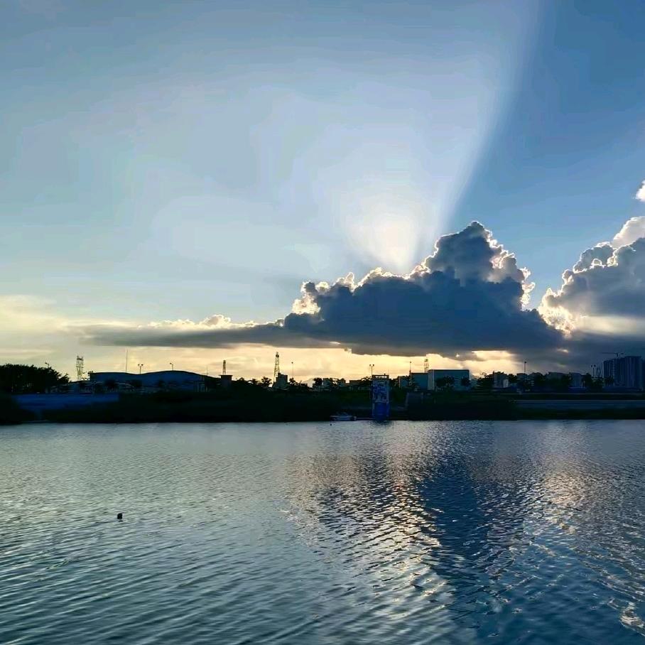 龙来财