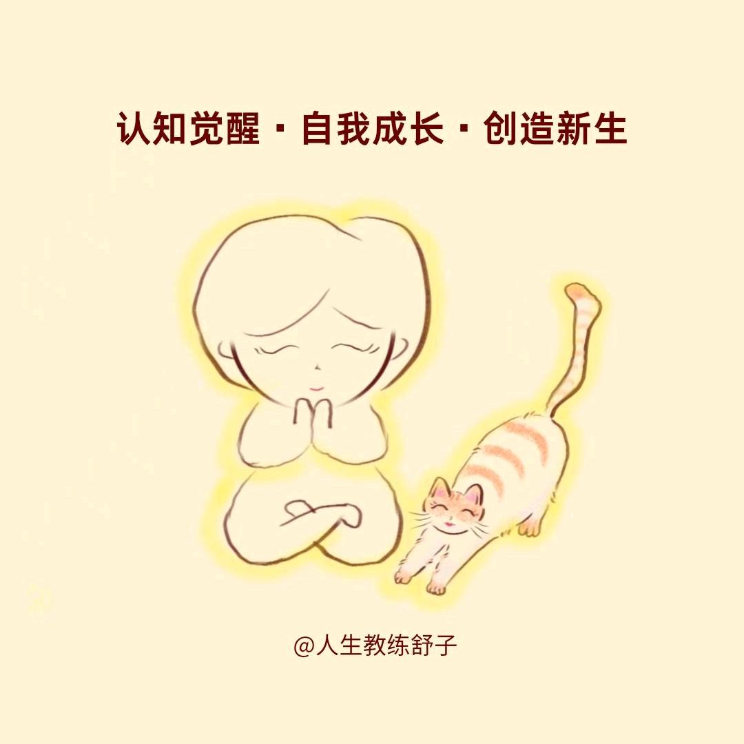 人生教练舒子