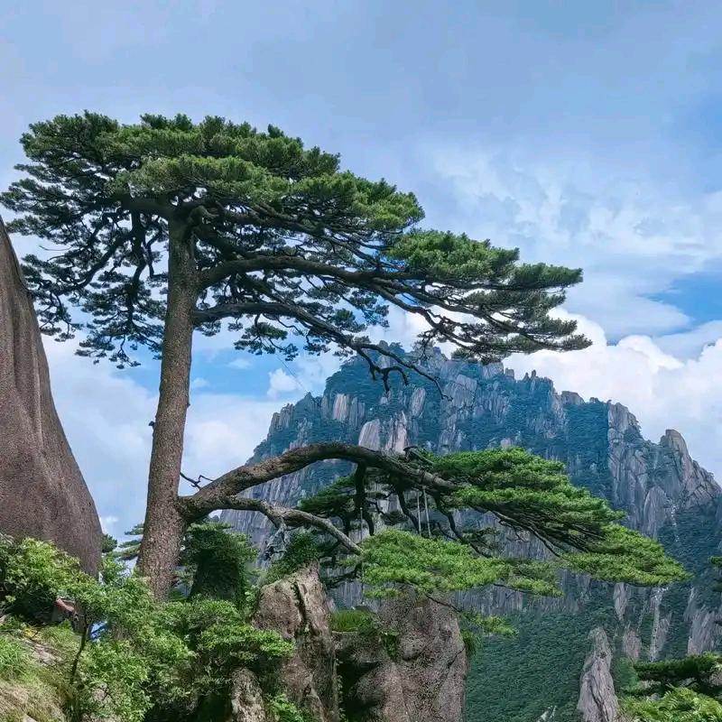 京津冀玉柴马石油中心库