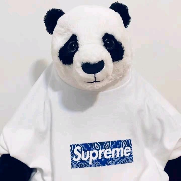 贤木