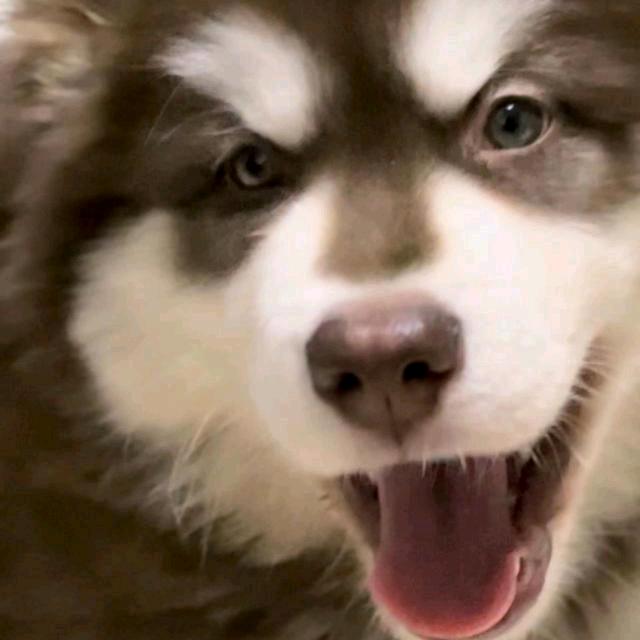 美程专升本张老师
