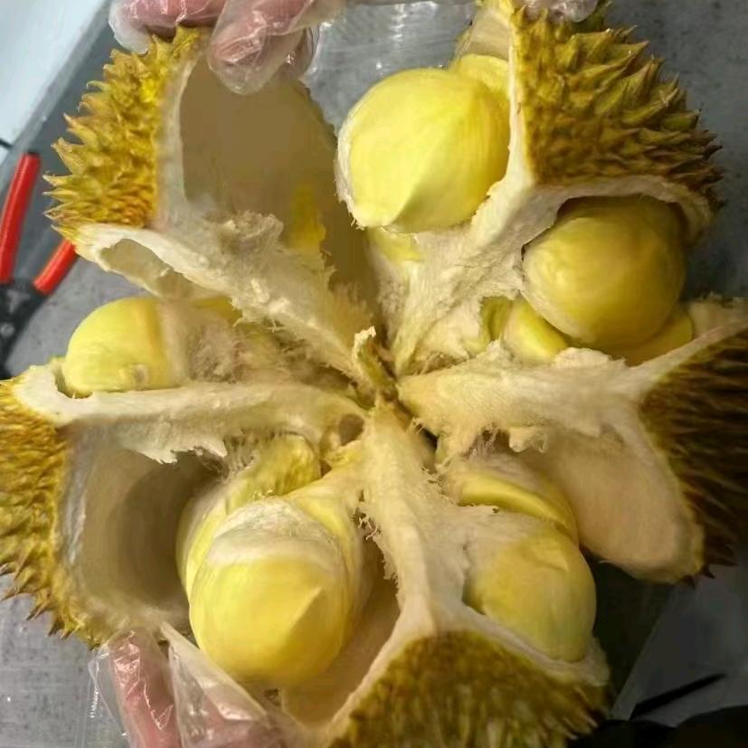 肖肖肖