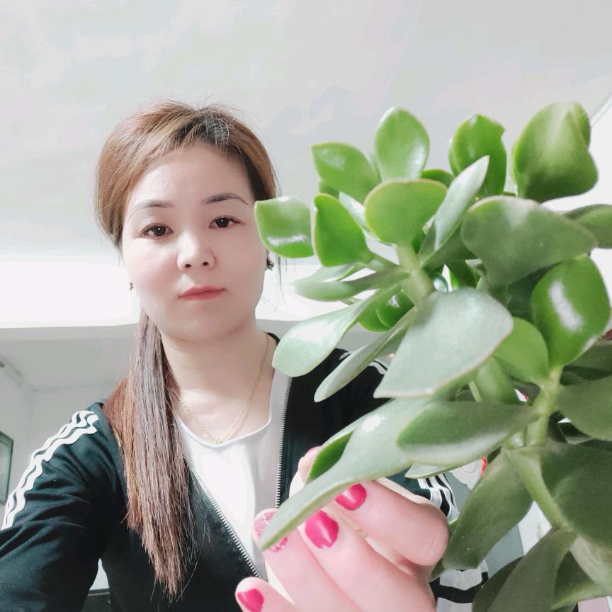 杰恒