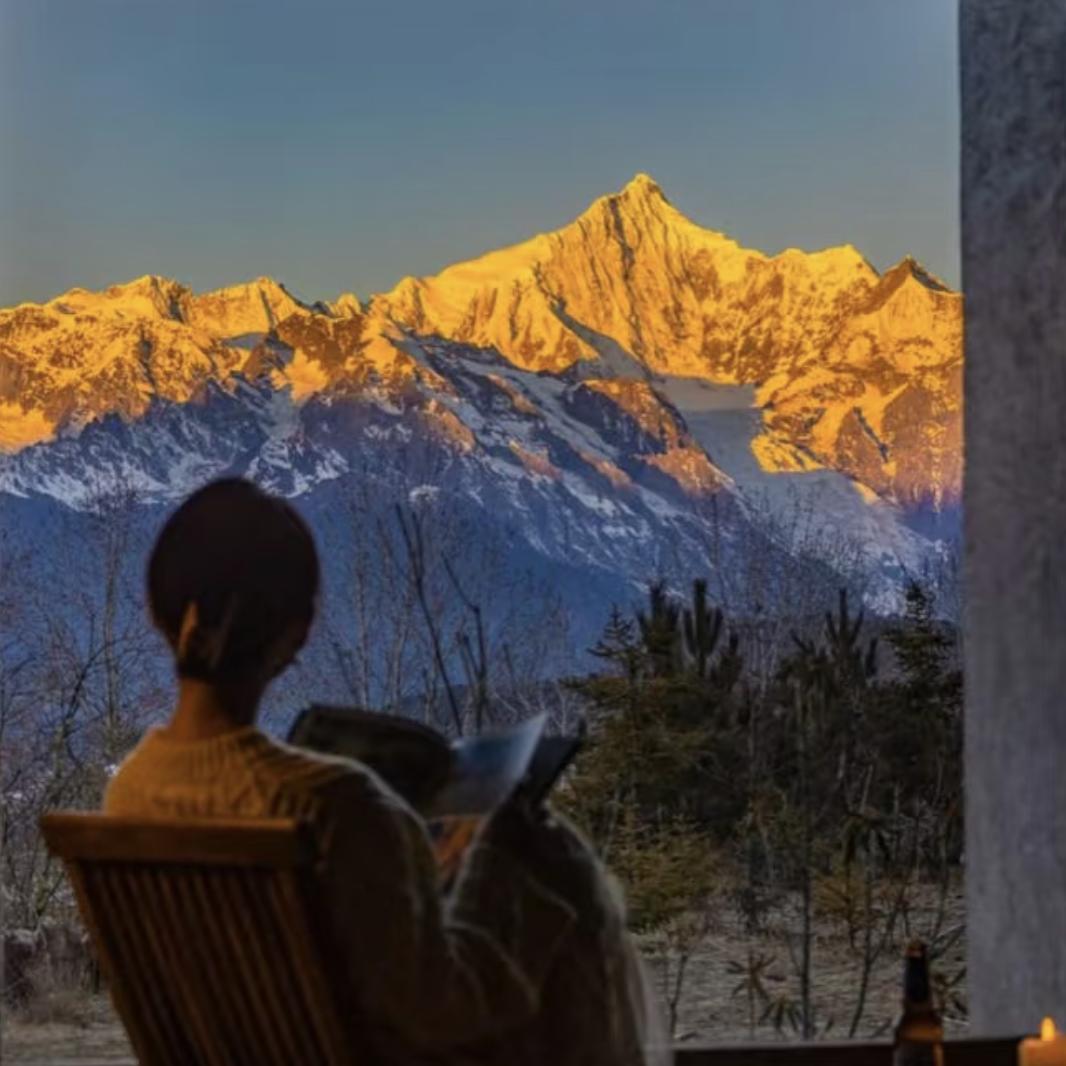 爱与风与向日葵🌻