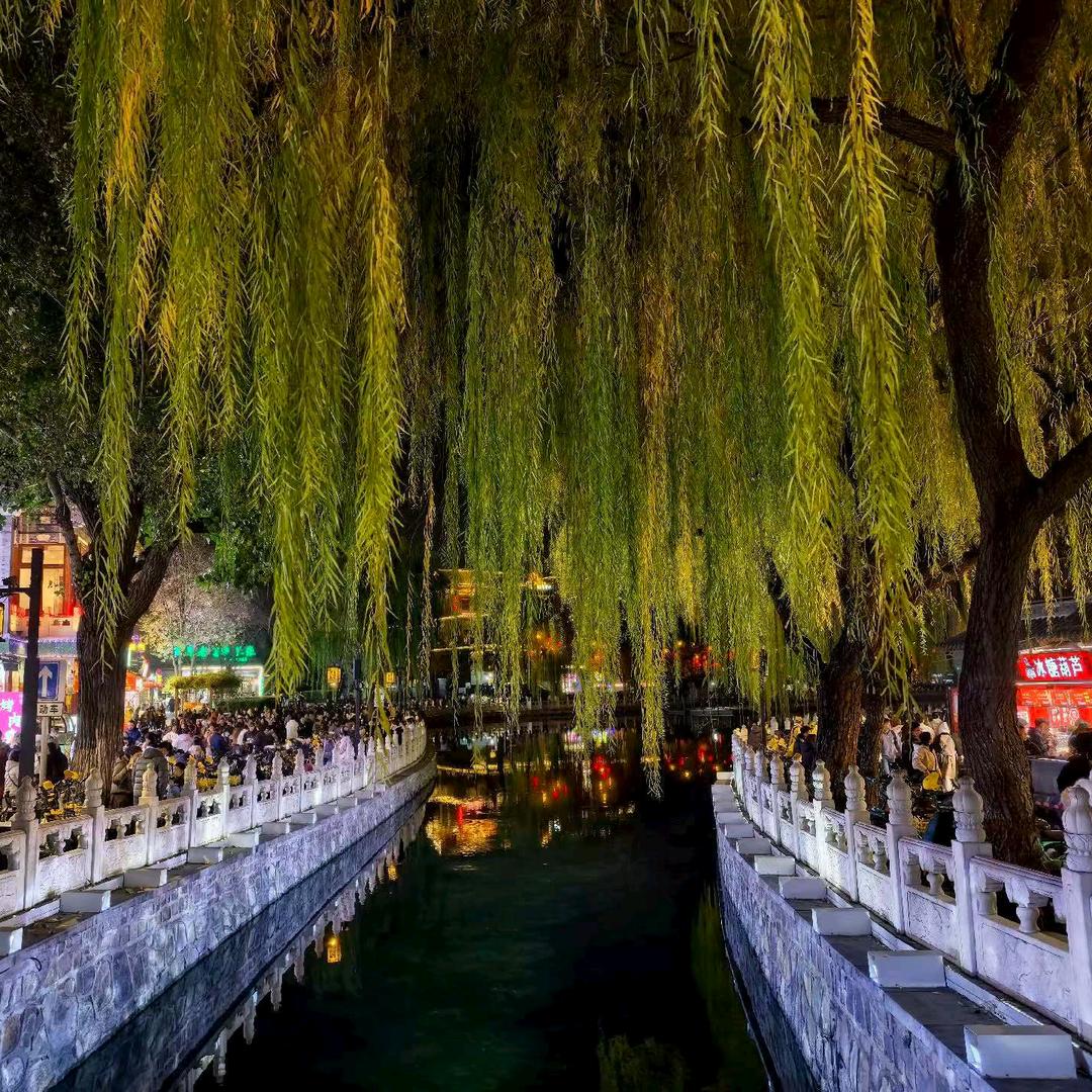 W 你说月亮🌙圆吗？