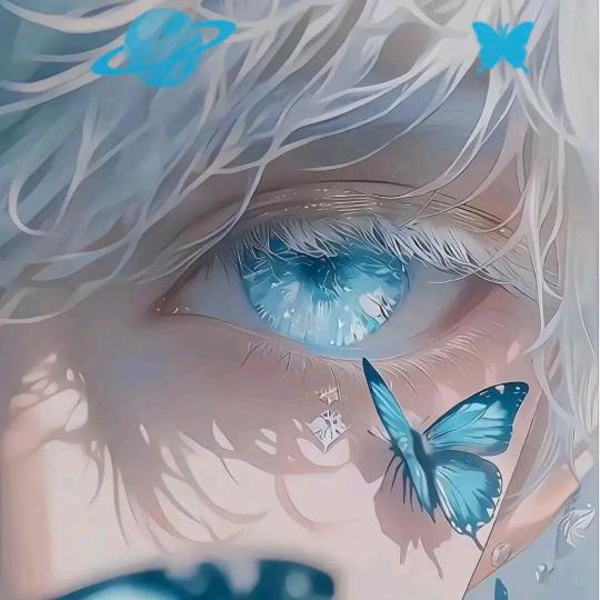 米娅莫拉苏娜丹妮