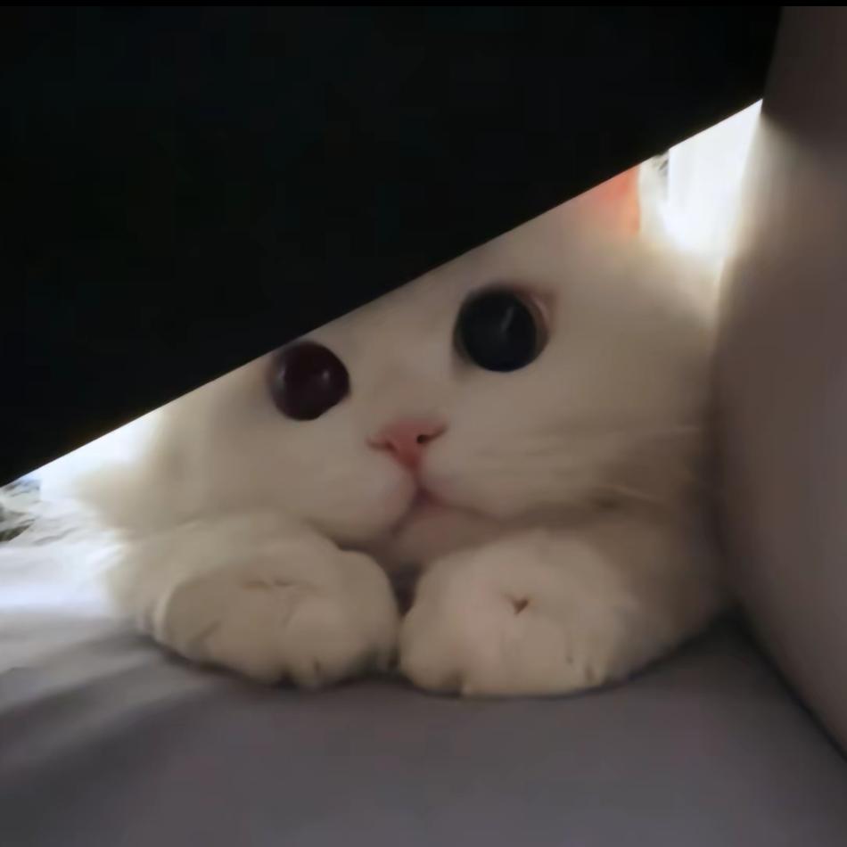 oi～