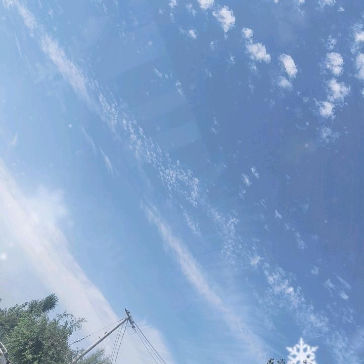 奔波的人
