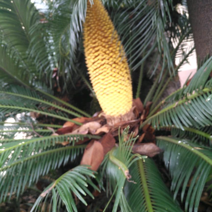 华叔☀️729☀️