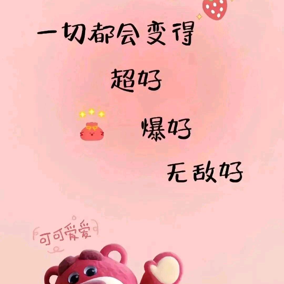 白茶与风🌈