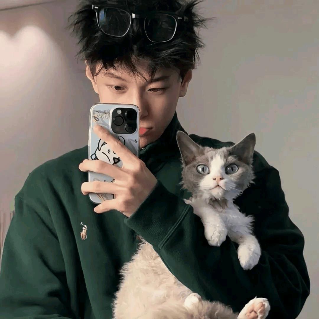 江月(无畏契约)