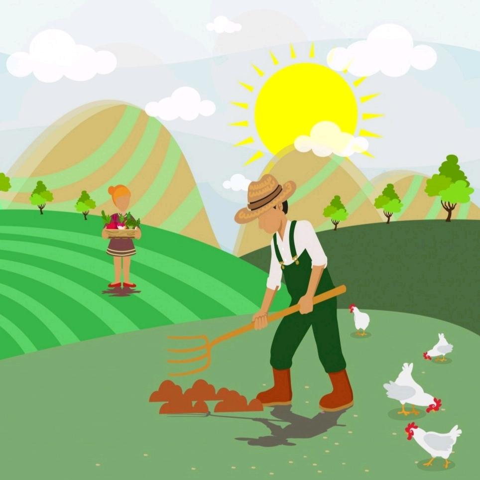 种菜记教您种好菜