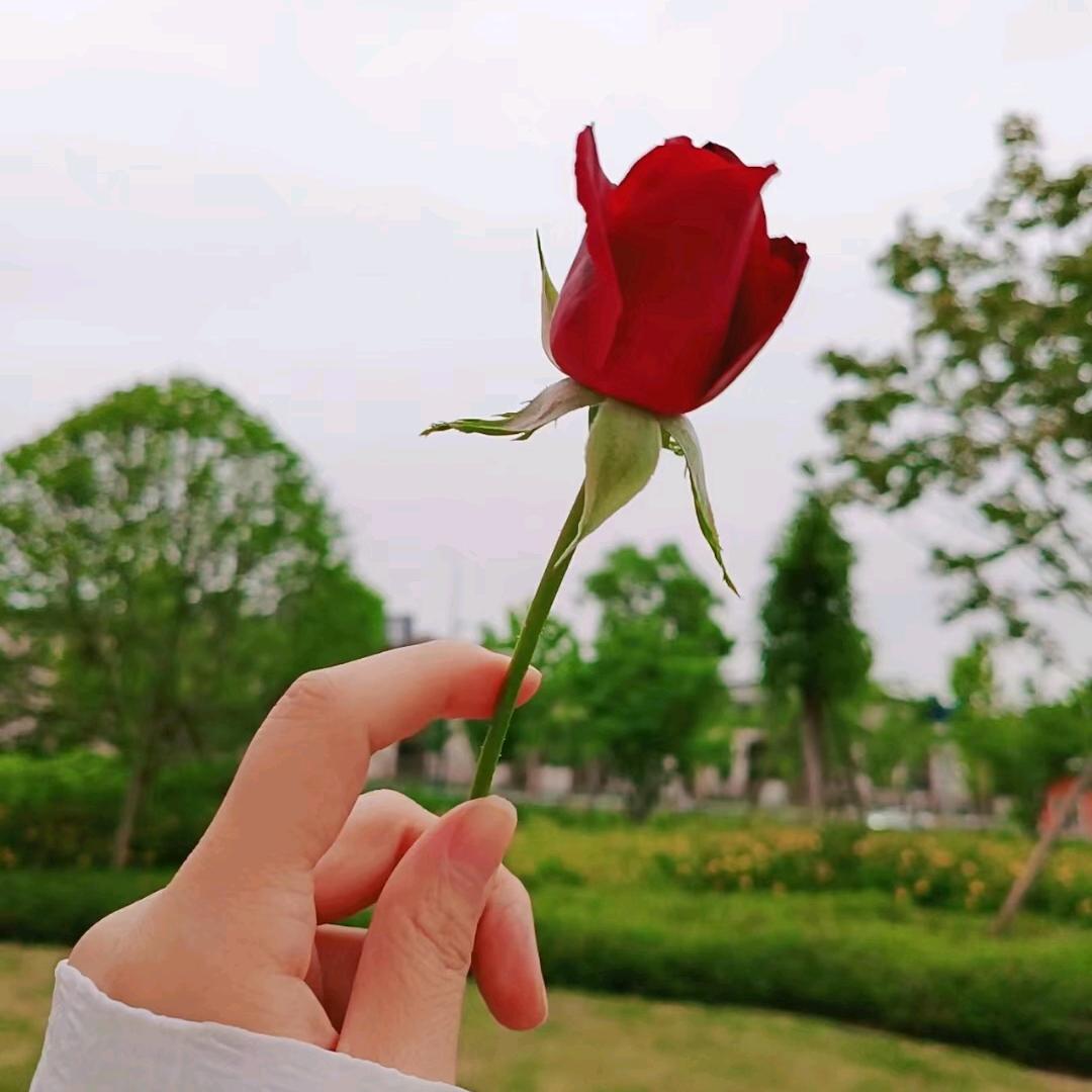 多年以后