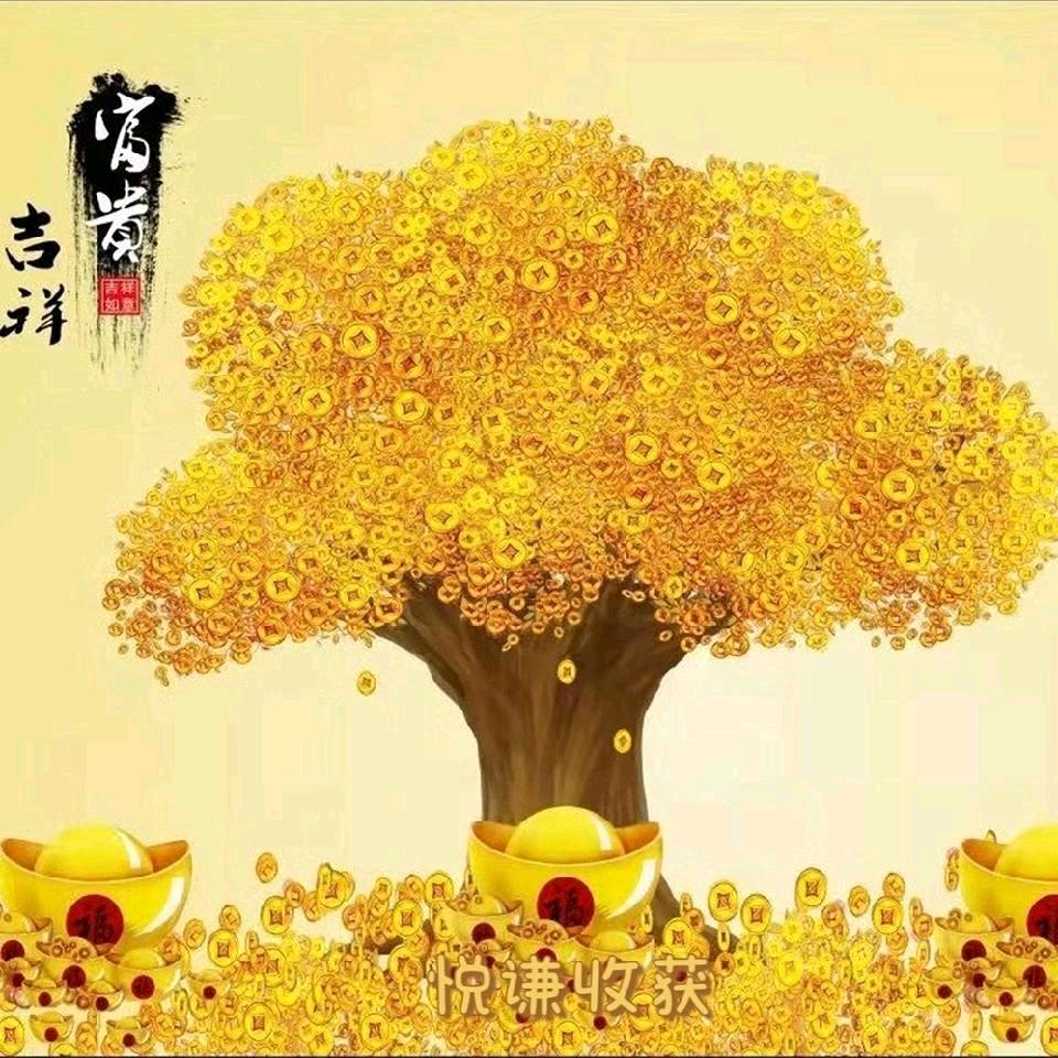 朝阳市小宇