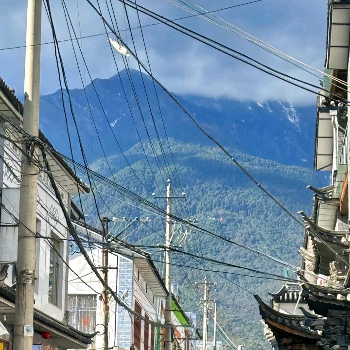 用户9833846984526