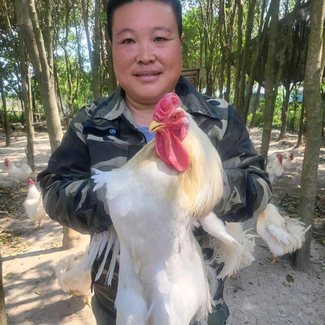 老四农家乐