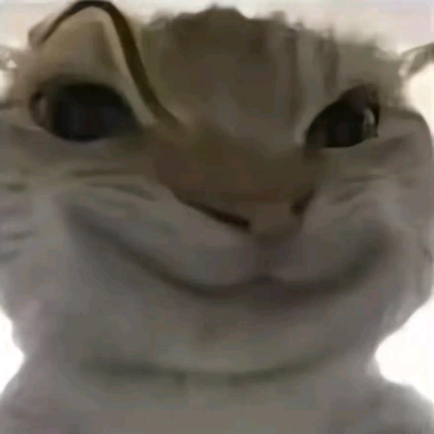 洲鼠鼠(三角洲)