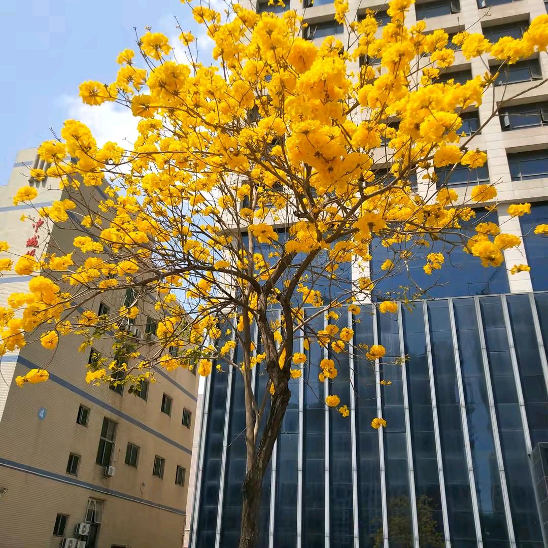 @焦踏实地