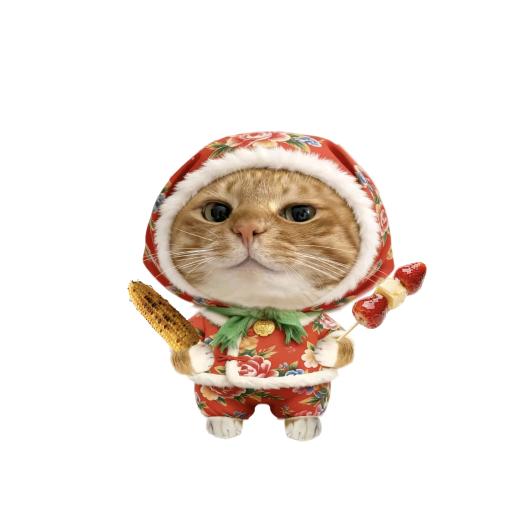 蜡笔没有小欣🌸🍓