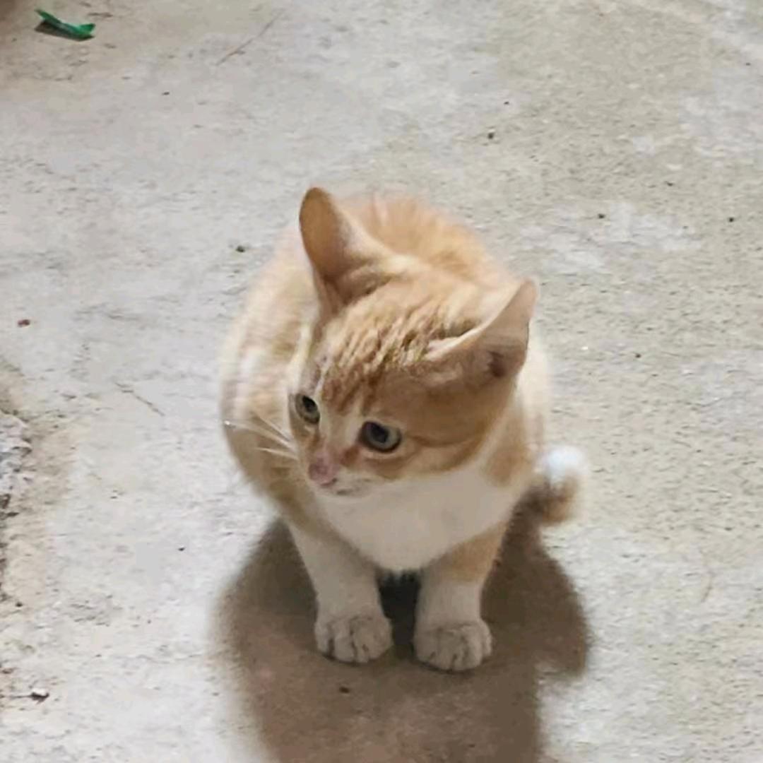 重重生之寻宝赶吃饭