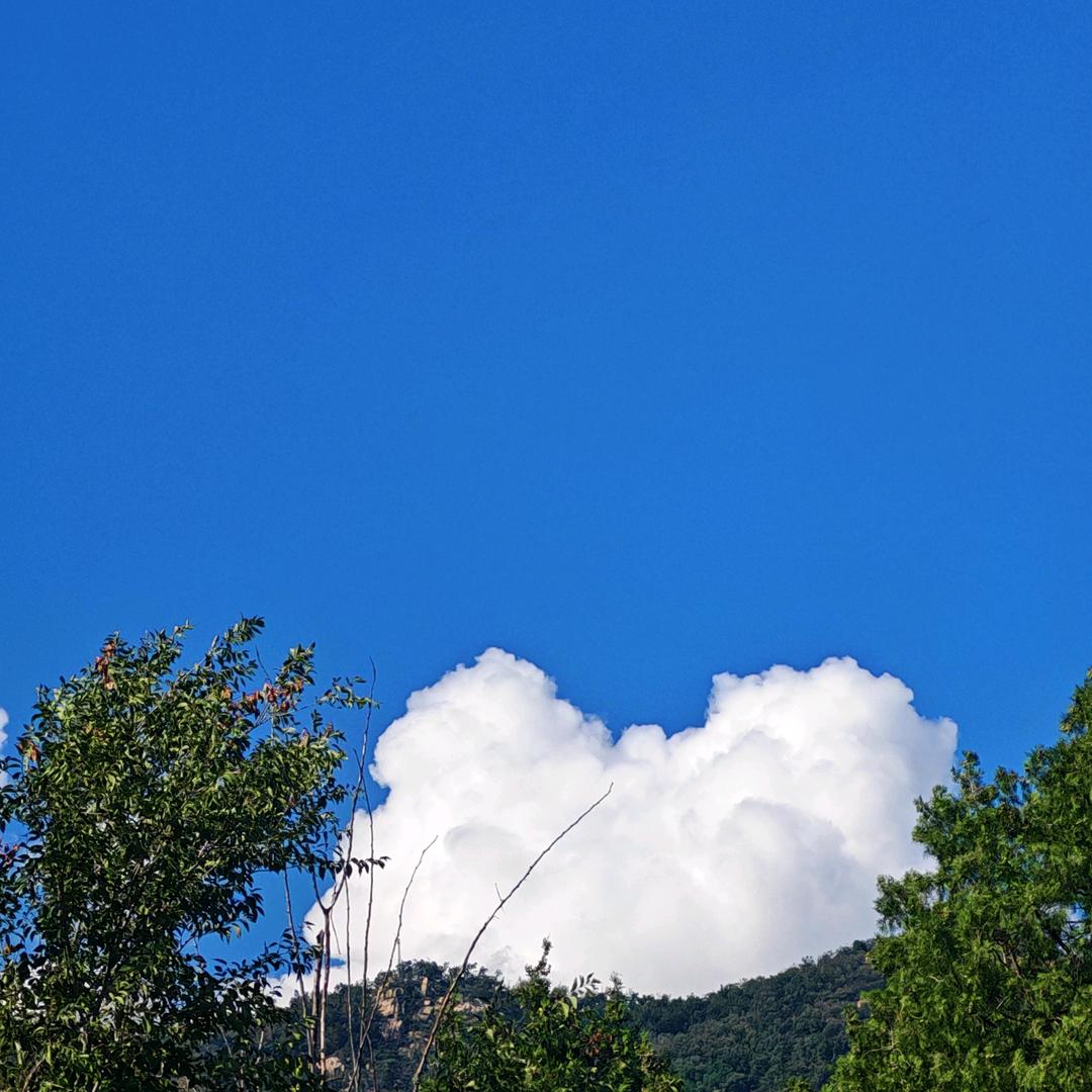 禹州市农丰源金蝉基地