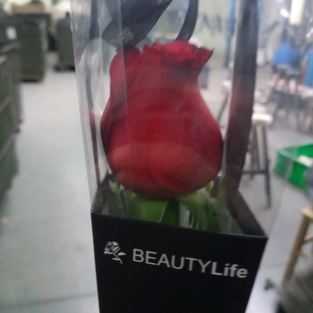 余生好好爱自己