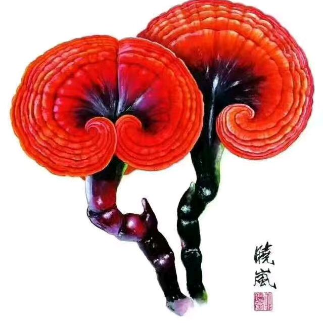 常秀彩