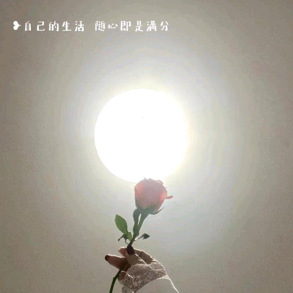 ℳ̶🦋曲中人ᥫ