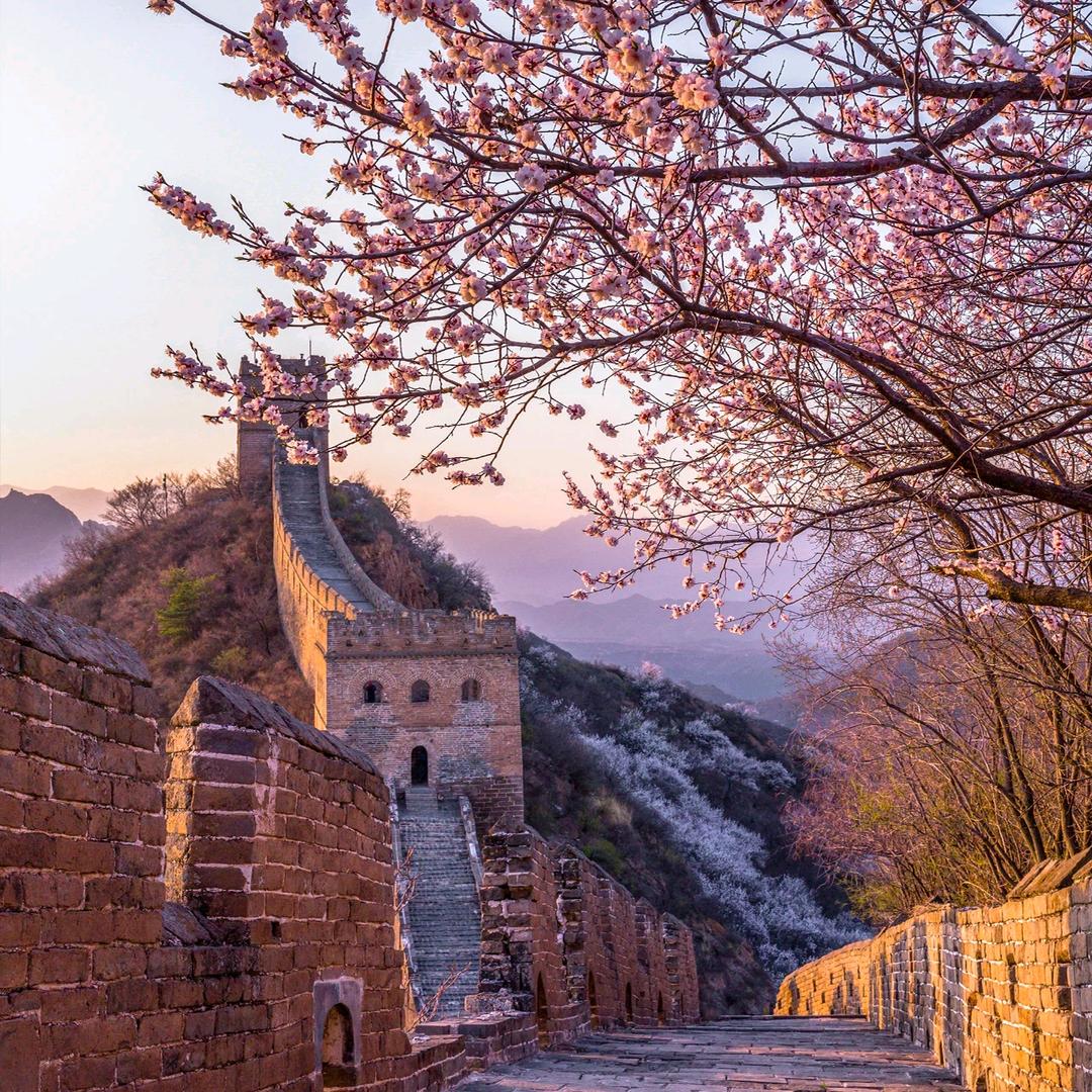 阿凡提（拒私聊）