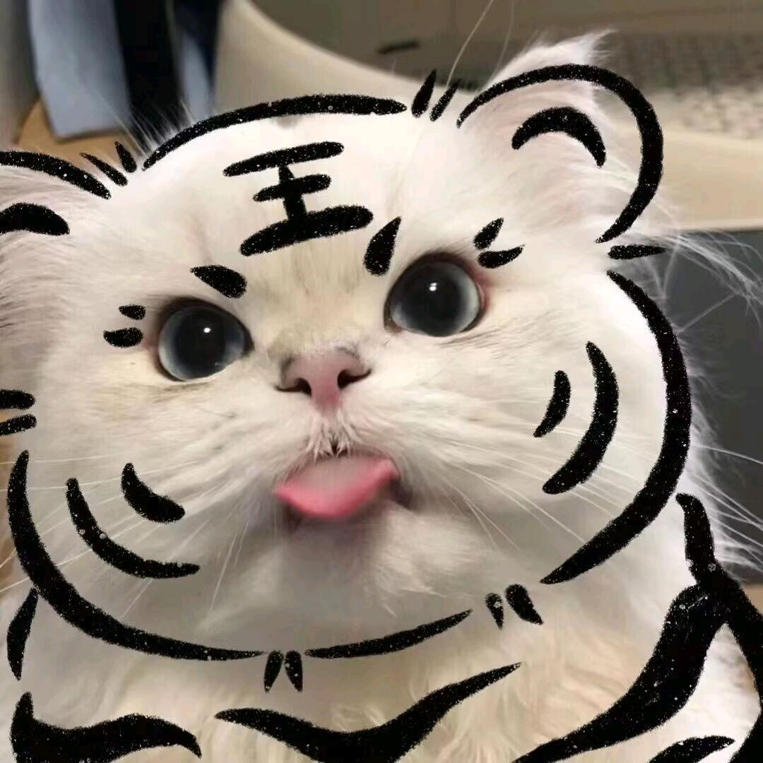 🍮猫百万🌰