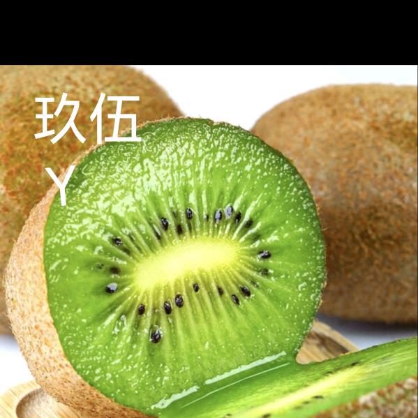 玖﹌伍（Y）