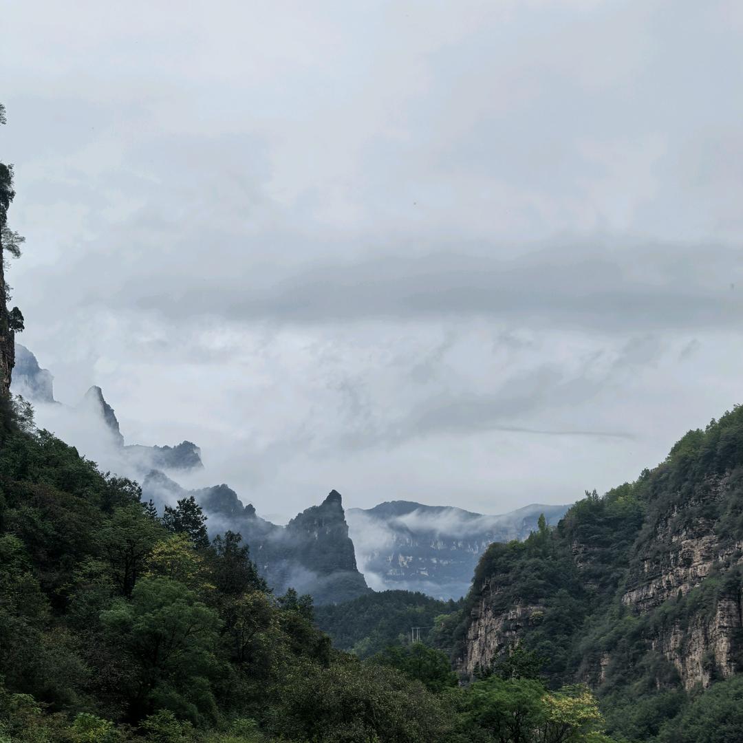 源泽