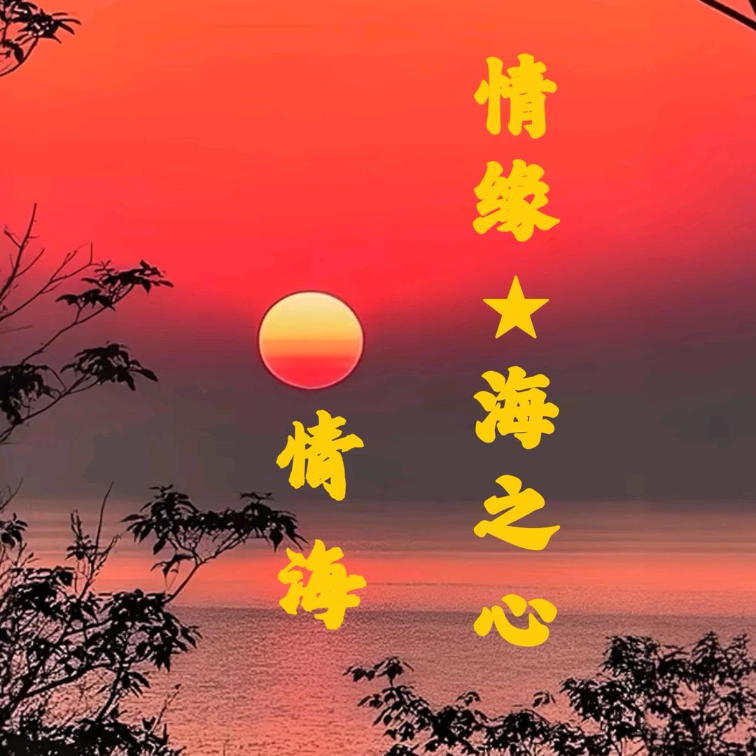 情缘★海之心☛情海☚