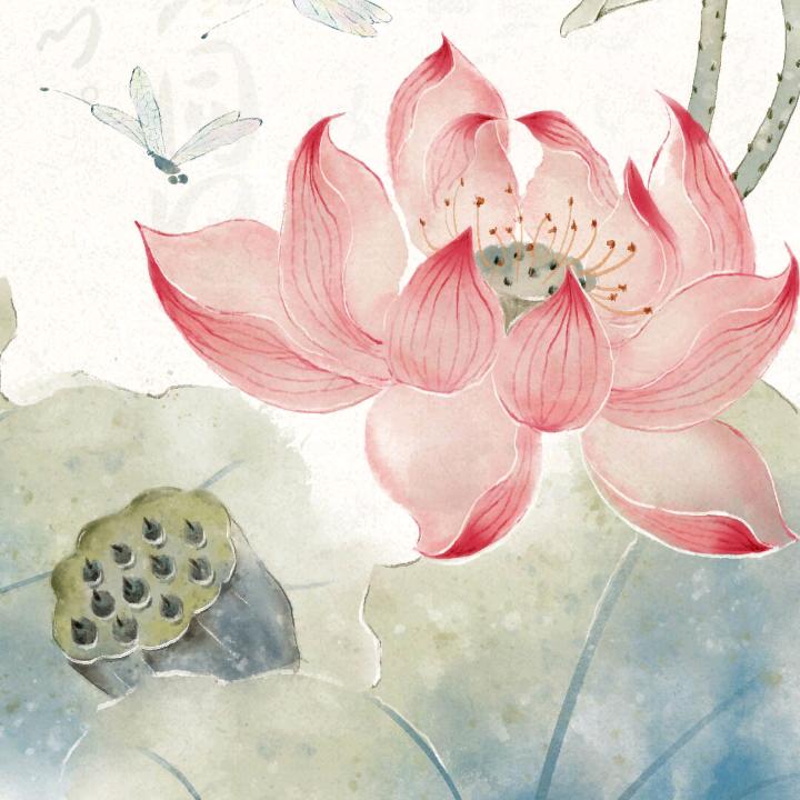 清竹🍵