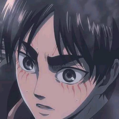 花落人不语