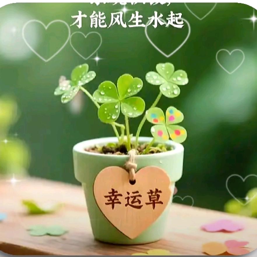 牵手、夕阳