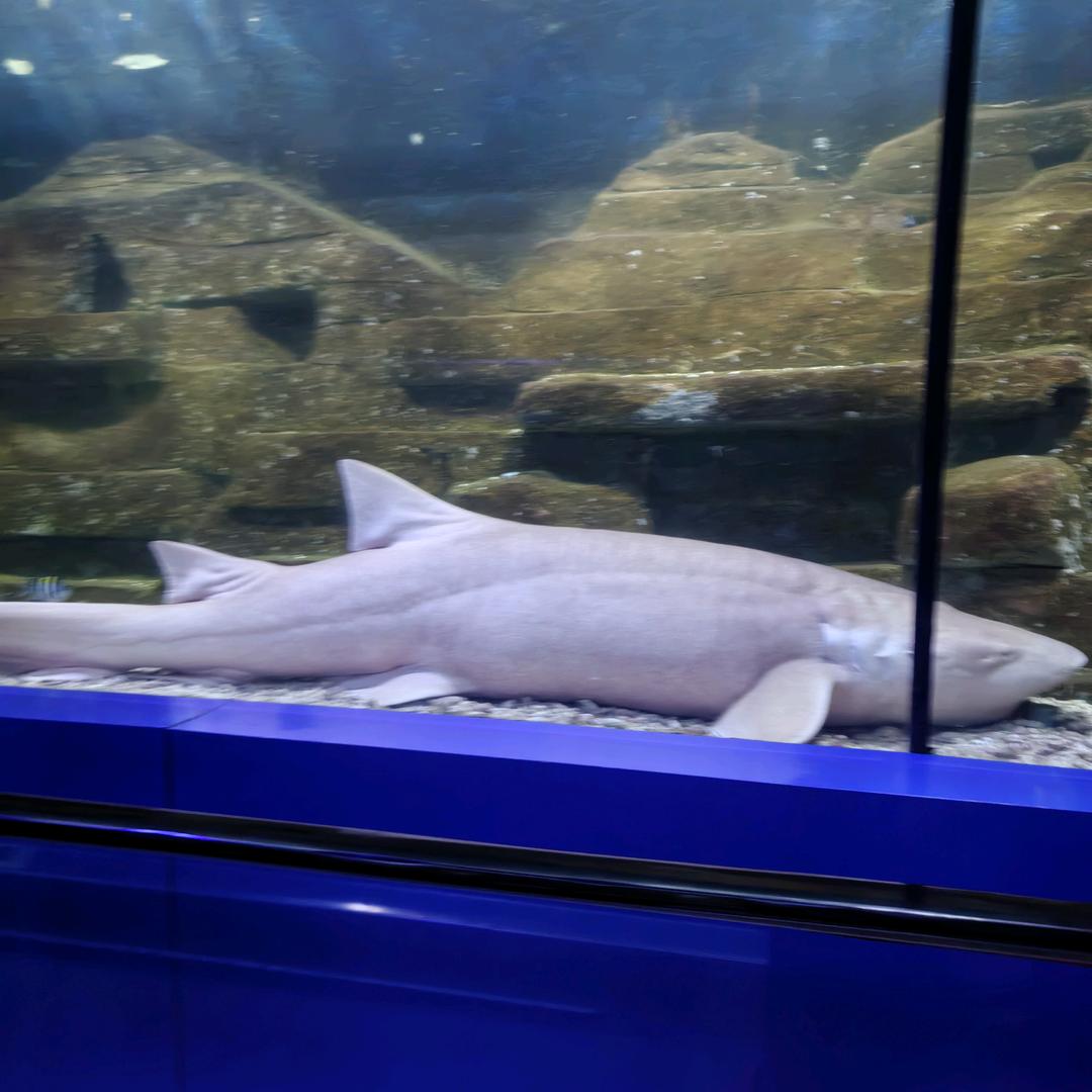 @♡ಇ᭄风ꦽོ沙༄꫟