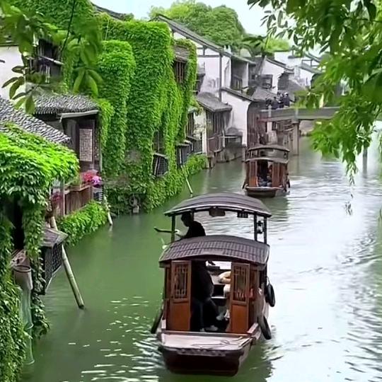 雪雪好物分享🐰