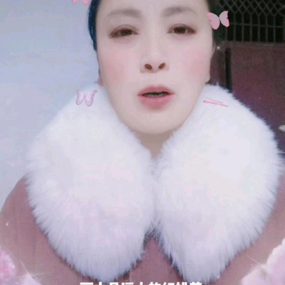 农村红姐