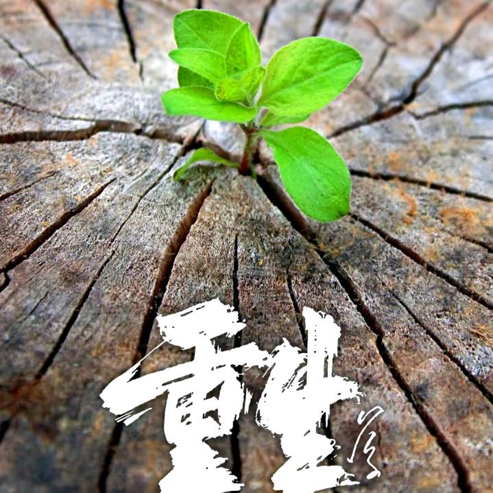 🚬᭄浓烟🚬ꦿ烈酒🍺敬余生ོ࿐ᩚ