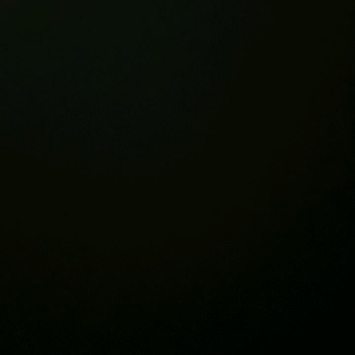 🐬摆烂咸鱼🐟