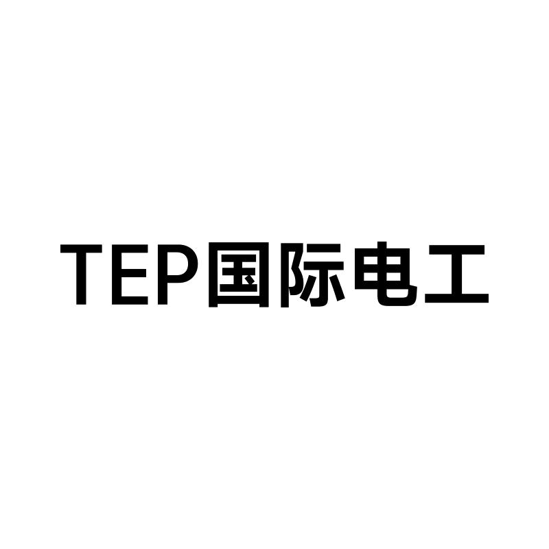 TEP 国际电工