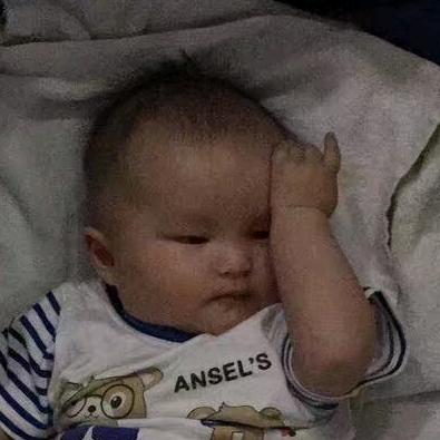 ૮ ˙肥肥Ⱉ黄˙ ა